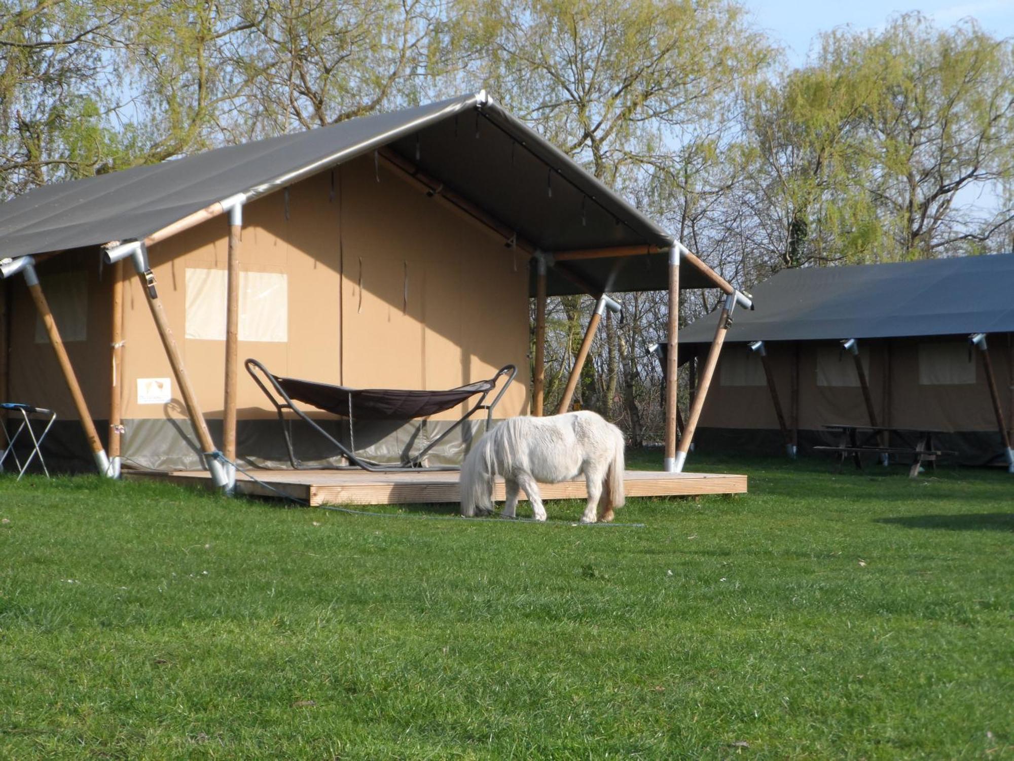 Hoeveheikant Lage Mierde Exterior photo