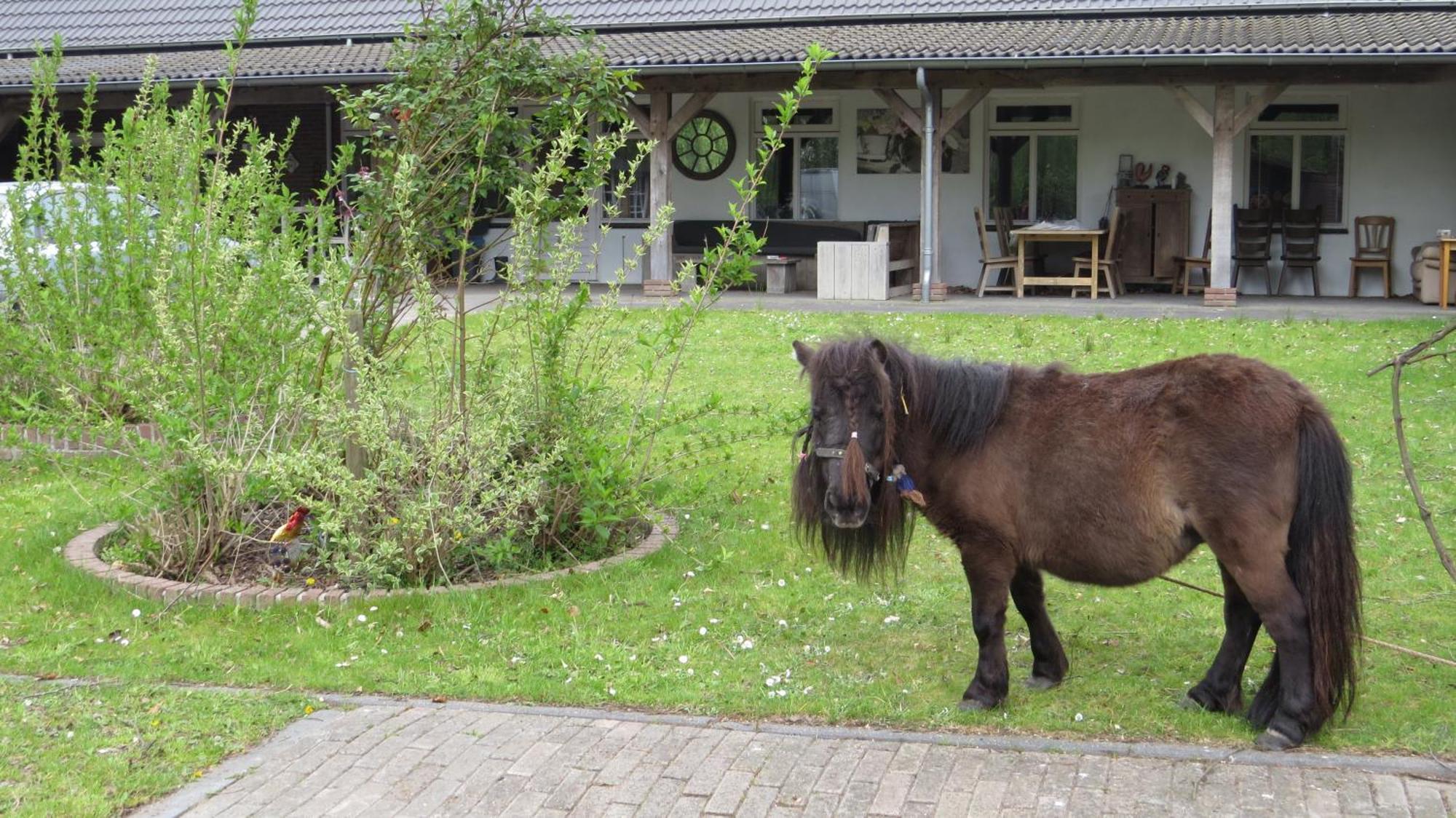 Hoeveheikant Lage Mierde Exterior photo